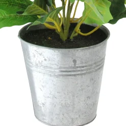 Floral*Northlight 15.5