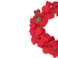 Specialty Wreaths*Northlight 24