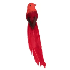 Northlight Animals>9" Red Cardinal With Long Tail Clip-On Christmas Ornament