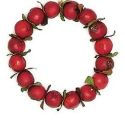 Select Artificials Trees & Wreaths>4.5" Red Crab Apple Autumn Harvest Christmas Wreath Ornament
