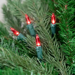 Northlight 50 Red Led Mini Christmas Lights - 16.25 Ft Green Wire