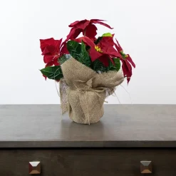 Floral*Northlight 13.5" Red Poinsettia With Pine Cones Artificial Christmas Floral Arrangement
