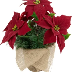 Floral*Northlight 13.5