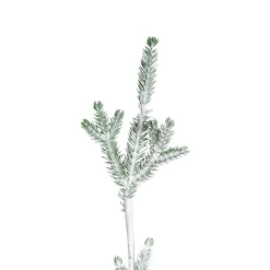 Northlight 5 And 5.5 Feet Tall><noscript><img width=