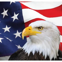 Showdown Displays 7' X 8' Blue And White Flag Patriotic Single Car Garage Door Banner