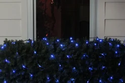 Northlight 4' X 6' Blue Led Wide Angle Christmas Net Lights, Green Wire
