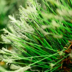 Unlit Garland*Northlight 9' X 14" Cashmere Mixed Pine Artificial Christmas Garland - Unlit