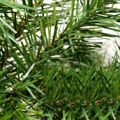 Unlit Garland*Northlight 9' X 14