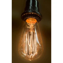 Contemporary Home Living 2" X 5" Clear Glass Chelsea Incandescent Edison Bulb