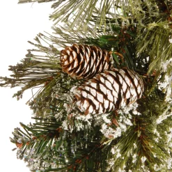 Frosted, Flocked, Iced Garland*National Tree Company 6' X 10" Glittery Bristle Pine Artificial Christmas Garland, Unlit