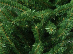 Commercial*Northlight 9' X 8' Green Pine Artificial Commercial Christmas Archway, Unlit