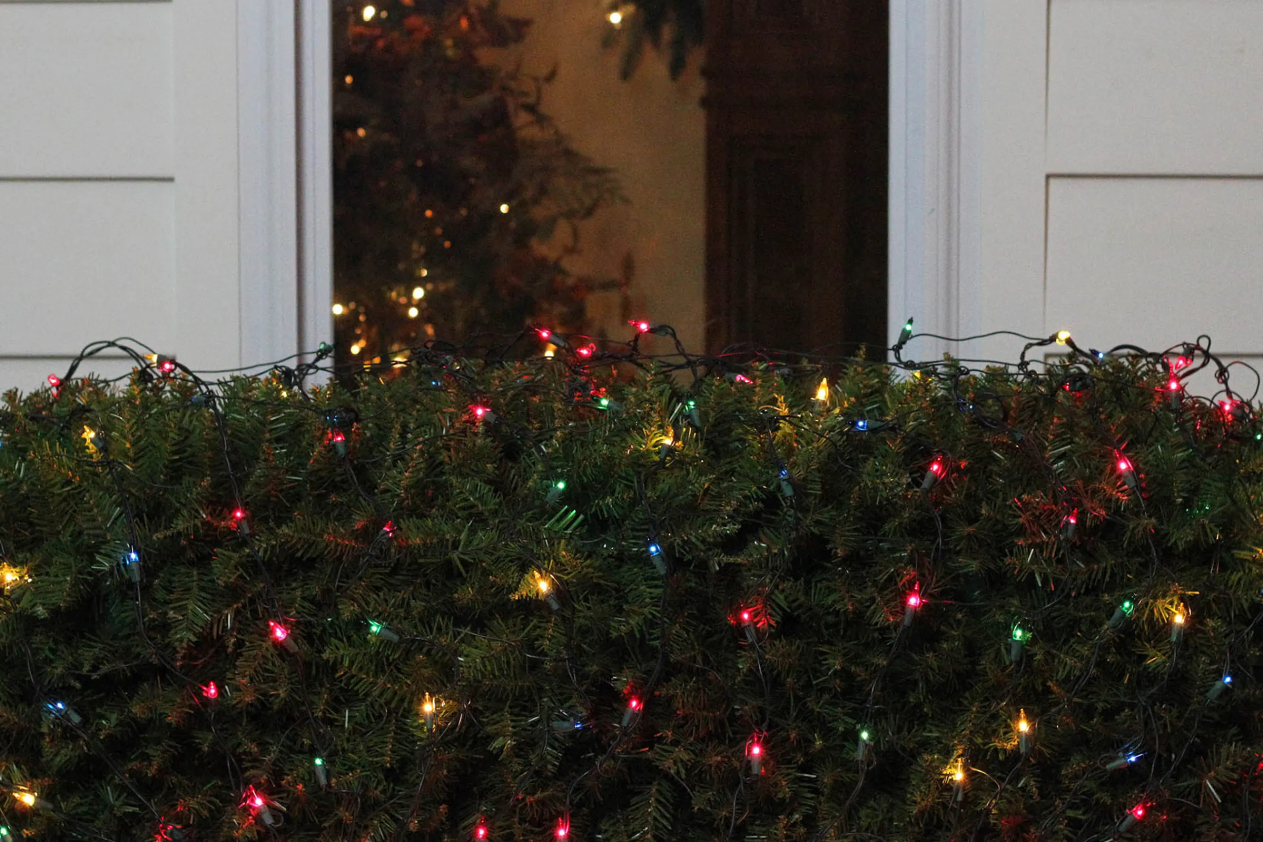 Northlight 4' X 6' Multi-Color Mini Incandescent Net Style Christmas Lights - Green Wire