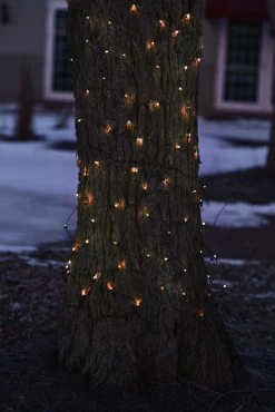 Northlight 2' X 8' Orange Led Net Style Tree Trunk Wrap Christmas Lights - Brown Wire