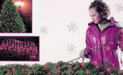 Sienna 4' X 6' Pink Mini Net Style Christmas Lights - Green Wire