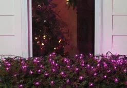 Northlight 4' X 6' Purple Incandescent Mini Net Style Christmas Lights - Green Wire