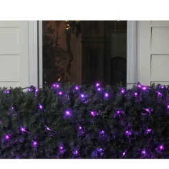 Northlight 4' X 6' Purple Led Wide Angle Net Style Christmas Lights - Green Wire