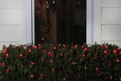 Northlight 4' X 6' Red Led Wide Angle Net Style Christmas Lights - Green Wire