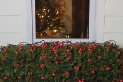 Northlight 4' X 6' Red Mini Incandescent Net Style Christmas Lights, Green Wire