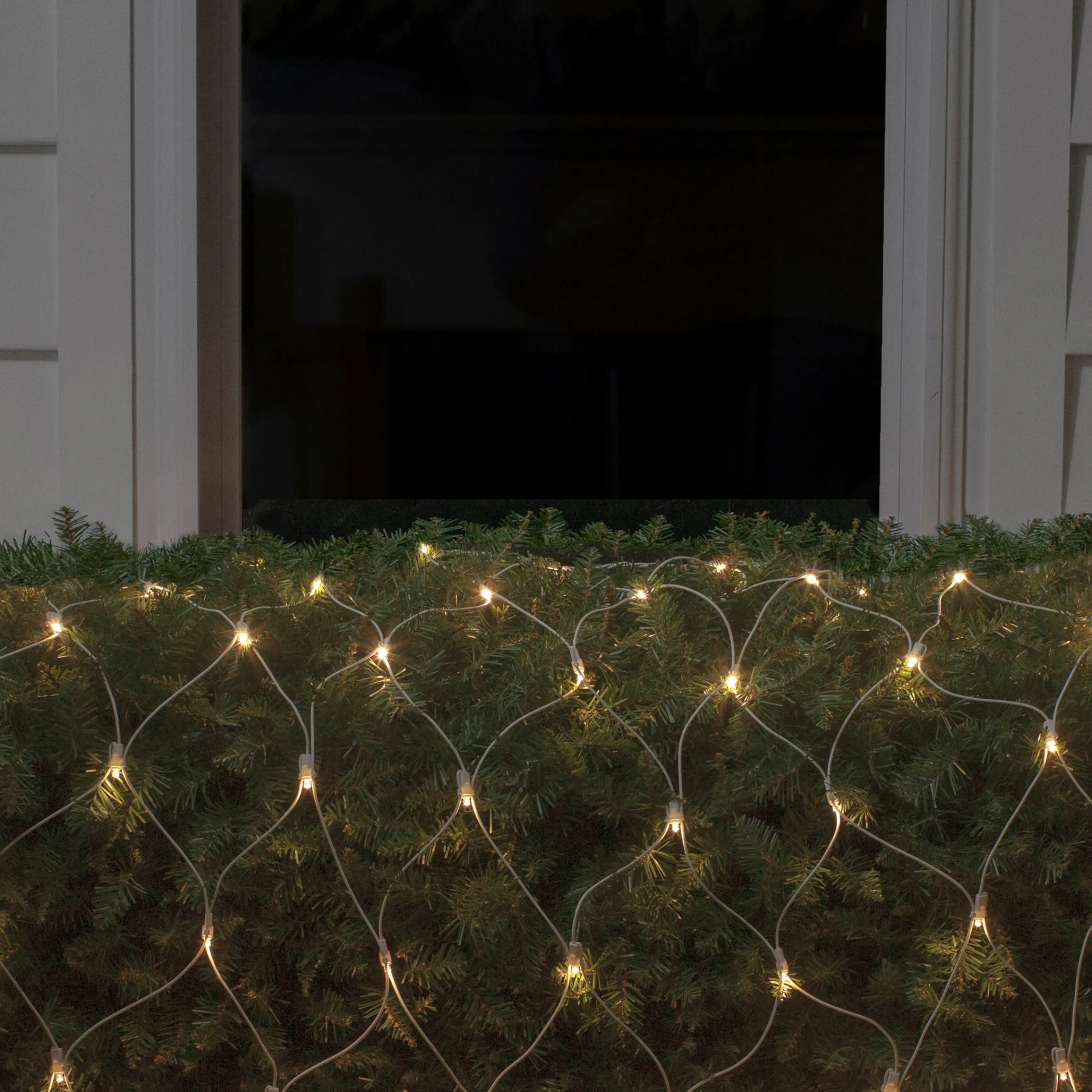 Northlight 4' X 6' Warm White Led Wide Angle Net Style Christmas Lights, White Wire