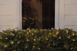 Northlight 4 X 6 Warm White Led Wide Angle Christmas Net Lights