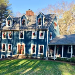 Unlit Wreaths*Northlight Canadian Pine Artificial Christmas Wreath, 24-Inch, Unlit