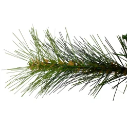 Unlit Wreaths*Northlight Canyon Pine Mixed Artificial Christmas Wreath, 36-Inch, Unlit