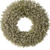 Traditional Pine Wreaths*Contemporary Home Living Champagne Boxwood Artificial Wreath, 20-Inch, Unlit