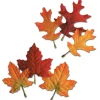 Beistle Club Pack 288 Assorted Fall Fun Festive Autumn Leaves Cutout Decorations 5.5"