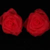 The Ribbon People Club Pack Of 72 Sheer Red Rose Craft Ribbon Flowers 1.5"