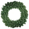 Unlit Wreaths*Northlight Colorado Spruce Artificial Christmas Wreath - 60-Inch, Unlit