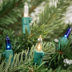 Northlight 100-Count Blue And Clear Mini Christmas Light Set, 20 Ft Green Wire