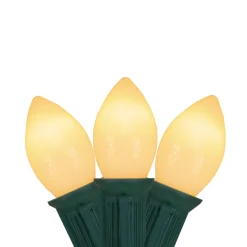 Northlight 25-Count Clear C7 Mini Christmas Light Set, 24Ft Green Wire