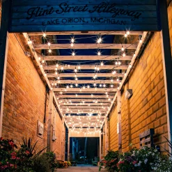 Northlight 10-Count Clear Edison Glass Patio Lights, 9Ft Green Wire