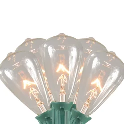 Northlight 10-Count Clear Edison Glass Patio Lights, 9Ft Green Wire