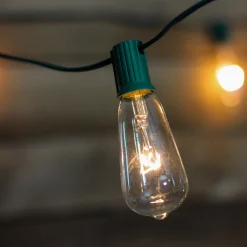 Northlight 10-Count Clear Edison Glass Patio Lights, 9Ft Green Wire