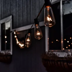 Northlight 10-Count Clear Edison Glass Patio Lights, 9Ft Green Wire