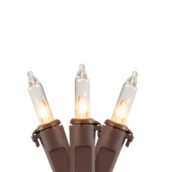 Northlight 20-Count Clear Mini Christmas Light Set, 4Ft Brown Wire