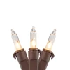 Northlight 50-Count Clear Mini Christmas Light Set, 10Ft Brown Wire