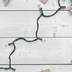 Northlight 10-Count Clear Mini Christmas Light Set, 5.5 Ft Green Wire