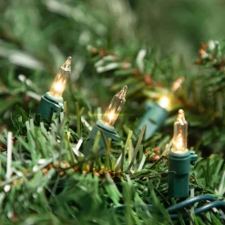 Northlight 10-Count Clear Mini Christmas Light Set, 5.5 Ft Green Wire