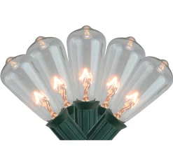 Northlight 20-Count Clear Mini Edison Christmas Light Set, 12.6Ft Green Wire