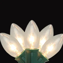 Northlight 25-Count Clear Transparent C9 Christmas String Light Set, 24Ft Green Wire