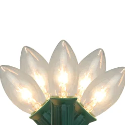 Northlight 25-Count Clear Transparent C9 Christmas String Light Set, 24Ft Green Wire