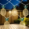 Northlight 10-Count Led Warm White Gold Pineapple String Lights - 3' Clear Wire