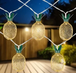 Northlight 10-Count Led Warm White Gold Pineapple String Lights - 3' Clear Wire