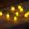 Northlight 10-Count Led Yellow And Green Pineapple Fairy Lights - Warm White