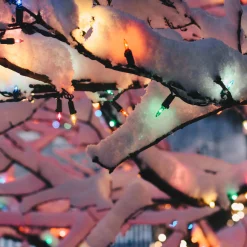 Northlight 35-Count Multi-Color Mini Christmas Light Set, 7Ft Green Wire