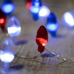 Northlight 20-Count Patriotic Americana Retro Style Bulb Led Fairy Lights, 6.25Ft, Copper Wire