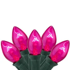 Northlight 25-Count Pink Transparent C9 Mini Christmas Light Set, 24Ft Green Wire