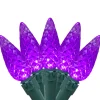 Northlight 70-Count Purple Led Faceted C6 Christmas Lights Set, 23 Ft Green Wire